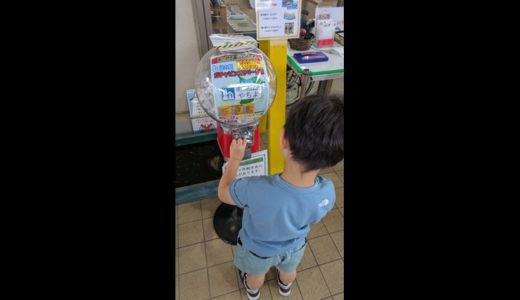 子どもの成長は長い目で